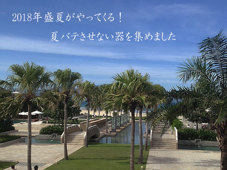 2018年盛夏がやってくる!夏バテさせない和食器