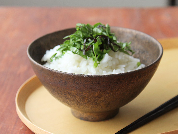 独歩炎 金釉ご飯茶碗 ご飯茶碗 汁椀 和食器 種類 和食器通販 おかずのうつわ屋 本橋